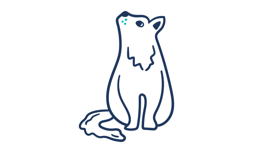 The image shows an illustration of a cat looking towards the sky.