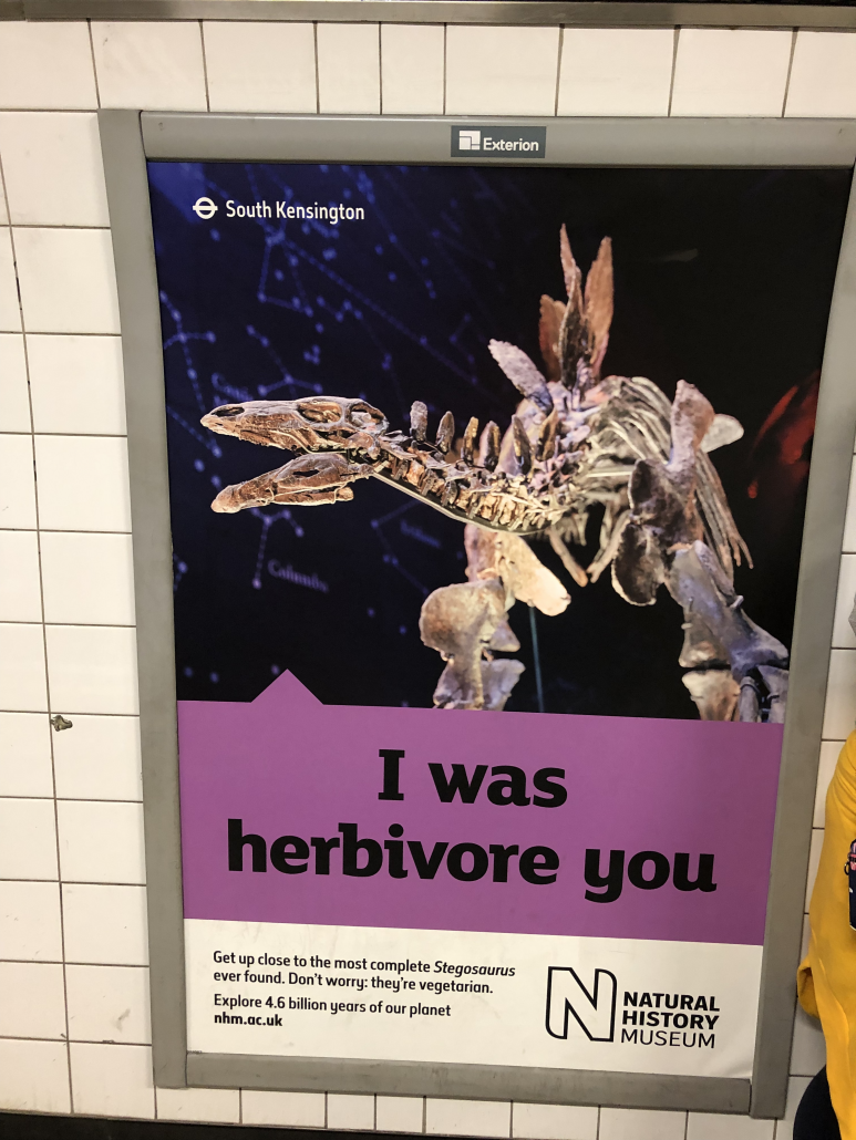 Herbivore transcreation exercise