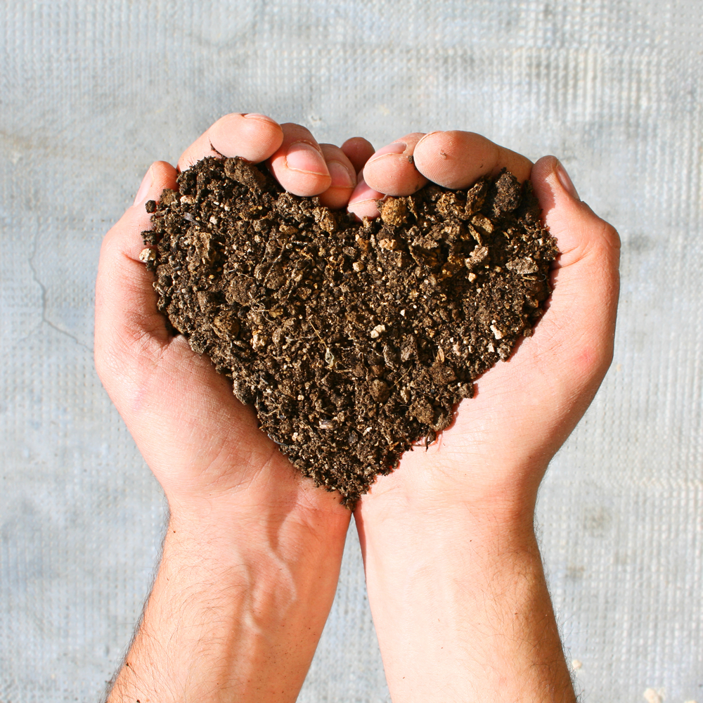 Take your eco-brand abroad