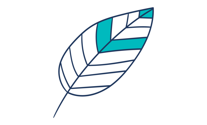 Illustration of a leaf